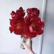 ヒメ日記 2025/04/30 09:48 投稿 みなみ Versailles