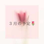 ヒメ日記 2026/02/24 20:25 投稿 みなみ Versailles