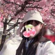 みなみ おさんぽ🌸 Versailles