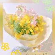 ヒメ日記 2026/03/06 12:21 投稿 みなみ Versailles