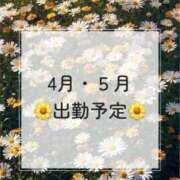 ヒメ日記 2026/04/15 21:53 投稿 みなみ Versailles