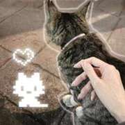 ヒメ日記 2026/04/22 22:51 投稿 みなみ Versailles