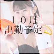 みなみ １０月出勤予定💫 Versailles