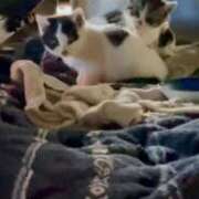 ヒメ日記 2025/11/26 10:20 投稿 ゆい Happy Gang(ハッピーギャング)