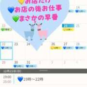 ヒメ日記 2024/12/20 09:25 投稿 つきひ 若葉