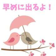 ヒメ日記 2025/04/04 19:46 投稿 つきひ 若葉