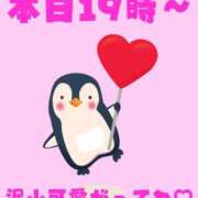 ヒメ日記 2025/04/12 17:18 投稿 つきひ 若葉