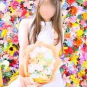 ヒメ日記 2025/04/22 15:25 投稿 つきひ 若葉