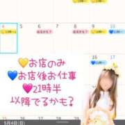 ヒメ日記 2025/05/02 14:12 投稿 つきひ 若葉