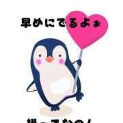 ヒメ日記 2025/05/04 09:55 投稿 つきひ 若葉