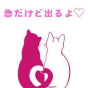 ヒメ日記 2025/05/05 20:25 投稿 つきひ 若葉