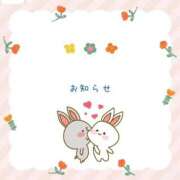 ヒメ日記 2025/08/10 11:47 投稿 つきひ 若葉