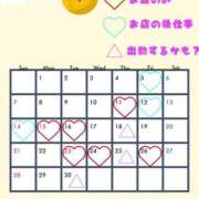 ヒメ日記 2025/09/04 20:25 投稿 つきひ 若葉