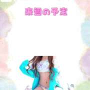 ヒメ日記 2025/09/07 00:15 投稿 つきひ 若葉