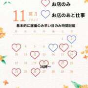 ヒメ日記 2025/11/03 12:49 投稿 つきひ 若葉