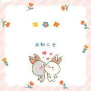 ヒメ日記 2025/11/06 22:15 投稿 つきひ 若葉