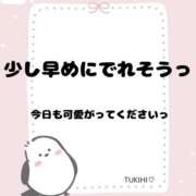 ヒメ日記 2025/11/22 16:35 投稿 つきひ 若葉