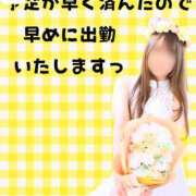 ヒメ日記 2025/12/09 13:35 投稿 つきひ 若葉