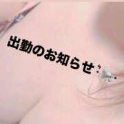 ヒメ日記 2024/12/18 17:10 投稿 さつき 鹿児島ちゃんこ 薩摩川内店