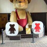 ヒメ日記 2025/09/11 06:58 投稿 さつき 鹿児島ちゃんこ 薩摩川内店