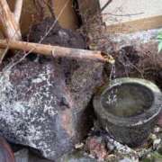 ヒメ日記 2026/02/12 17:18 投稿 さつき 鹿児島ちゃんこ 薩摩川内店