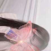 ヒメ日記 2025/07/30 14:45 投稿 りの 変態なんでも鑑定団