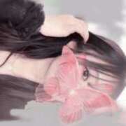 ヒメ日記 2025/08/08 00:47 投稿 りの 変態なんでも鑑定団