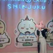 ヒメ日記 2025/09/14 18:17 投稿 りの 変態なんでも鑑定団