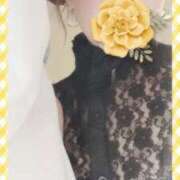 ヒメ日記 2025/04/12 01:20 投稿 がが ジューシー