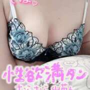 ヒメ日記 2025/03/15 18:57 投稿 しほ 川崎・東横人妻城