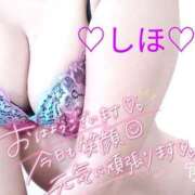 ヒメ日記 2025/04/12 06:33 投稿 しほ 川崎・東横人妻城