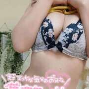 ヒメ日記 2026/02/08 15:15 投稿 しほ 川崎・東横人妻城