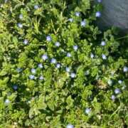 ヒメ日記 2025/03/11 16:03 投稿 きら 北九州人妻倶楽部（三十路、四十路、五十路）