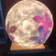 ヒメ日記 2025/06/15 16:29 投稿 きら 北九州人妻倶楽部（三十路、四十路、五十路）