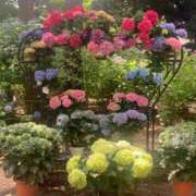 ヒメ日記 2025/06/18 10:53 投稿 きら 北九州人妻倶楽部（三十路、四十路、五十路）