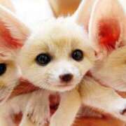 ヒメ日記 2024/12/31 10:01 投稿 (コスパ)七瀬きみえ 風俗イキタイいわき店