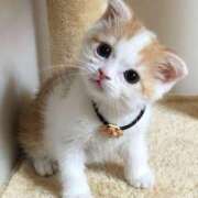 ヒメ日記 2025/02/05 14:21 投稿 (コスパ)七瀬きみえ 風俗イキタイいわき店