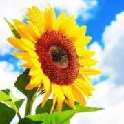 ヒメ日記 2025/02/25 14:02 投稿 (コスパ)七瀬きみえ 風俗イキタイいわき店