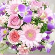 ヒメ日記 2025/04/24 13:41 投稿 (コスパ)七瀬きみえ 風俗イキタイいわき店