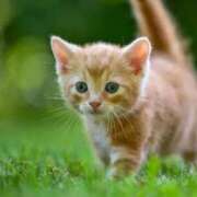 ヒメ日記 2025/06/22 10:02 投稿 (コスパ)七瀬きみえ 風俗イキタイいわき店