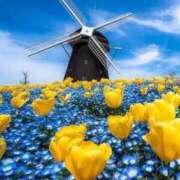 ヒメ日記 2025/06/24 15:51 投稿 (コスパ)七瀬きみえ 風俗イキタイいわき店