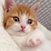 ヒメ日記 2025/08/14 09:02 投稿 (コスパ)七瀬きみえ 風俗イキタイいわき店