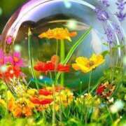 ヒメ日記 2025/08/19 16:41 投稿 (コスパ)七瀬きみえ 風俗イキタイいわき店