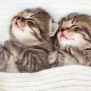 ヒメ日記 2025/11/22 12:21 投稿 (コスパ)七瀬きみえ 風俗イキタイいわき店