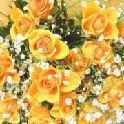 ヒメ日記 2026/02/27 12:20 投稿 (コスパ)七瀬きみえ 風俗イキタイいわき店