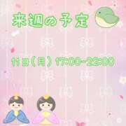 ヒメ日記 2024/03/08 23:30 投稿 ひとみ セクシーキャット 神田店