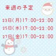 ヒメ日記 2024/12/20 17:22 投稿 ひとみ セクシーキャット 神田店