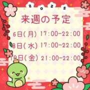 ヒメ日記 2025/01/04 20:27 投稿 ひとみ セクシーキャット 神田店