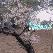 ヒメ日記 2025/03/13 00:14 投稿 ひとみ セクシーキャット 神田店