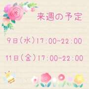 ヒメ日記 2025/04/06 19:32 投稿 ひとみ セクシーキャット 神田店